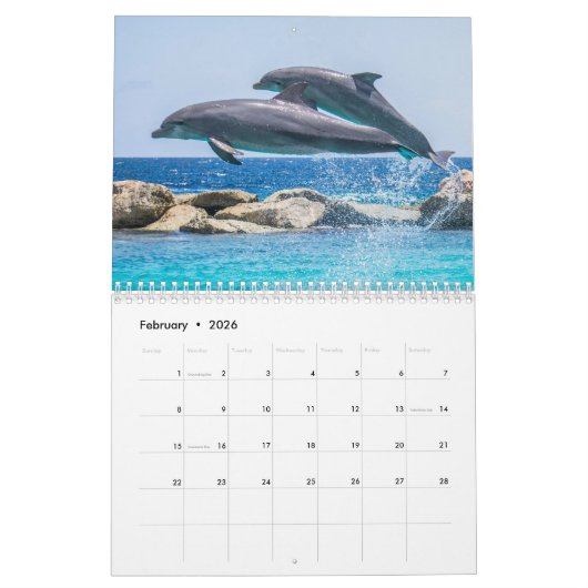 Dolphin Dive Hawaiian Love Destiny's Kalender (Feb 2026)