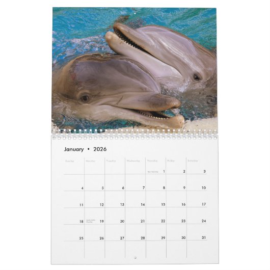 Dolphin Dive Hawaiian Love Destiny's Kalender (Jan 2026)