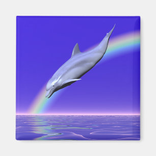 Dolphin downloaden magneet