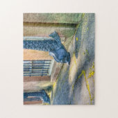 Dolphin Downspout Savannah Puzzle Legpuzzel (Verticaal)