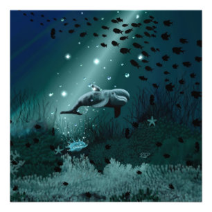 Dolphin Dream Foto Afdruk