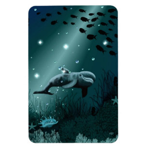 Dolphin Dream Magneet