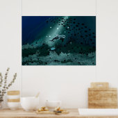 Dolphin Dream Poster (Keuken)