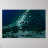 Dolphin Dream Poster (Voorkant)