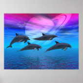 Dolphin Dreams Poster (Voorkant)