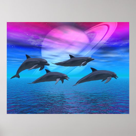 Dolphin Dreams Poster (Voorkant)