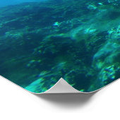 Dolphin Duo Poster (Hoek)