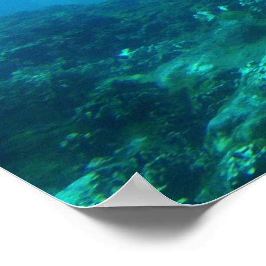 Dolphin Duo Poster (Hoek)