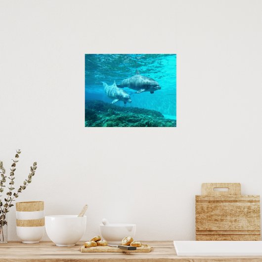 Dolphin Duo Poster (Keuken)