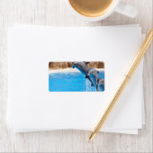 DOLPHIN ETIKET (Insitu)