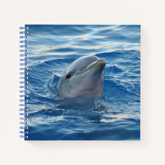 Dolphin Face in Ocean Cute Photo Notitieboek (Voorkant)
