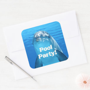 Dolphin Face Underwater Pool Party Birthday Vierkante Sticker
