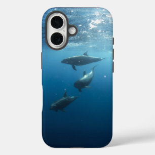 Dolphin Family Underwater iPhone 16 Hoesje