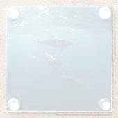 Dolphin Family Underwater Glazen Onderzetter (Achterkant)