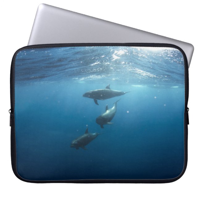 Dolphin Family Underwater Laptop Sleeve (Voorkant)