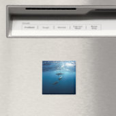 Dolphin Family Underwater Magneet (Insitu (Vaatwasser))
