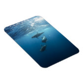 Dolphin Family Underwater Magneet (Rechterzijde)