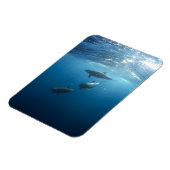 Dolphin Family Underwater Magneet (Linkerzijde)