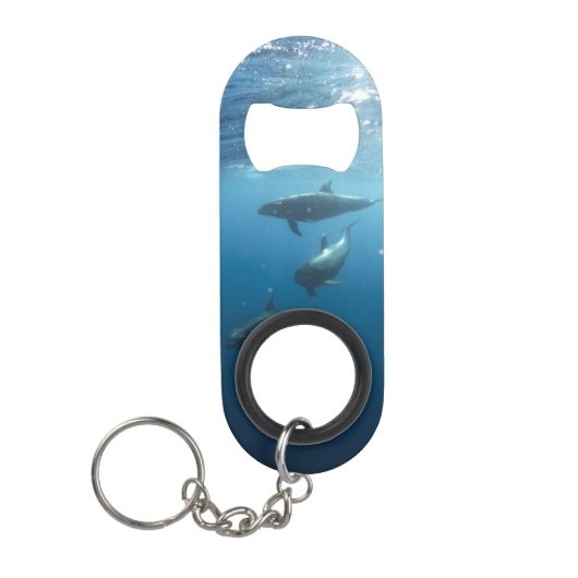 Dolphin Family Underwater Mini Flessenopener (Voorkant)