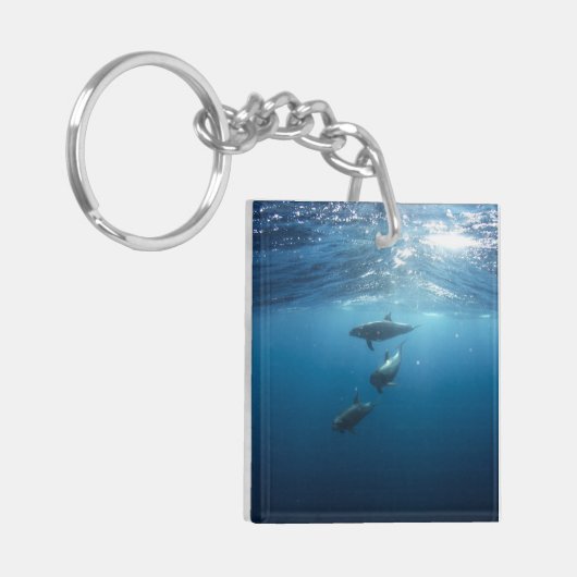 Dolphin Family Underwater Sleutelhanger (Voorkant Links)