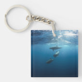 Dolphin Family Underwater Sleutelhanger (Voorkant)
