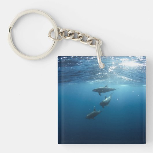 Dolphin Family Underwater Sleutelhanger (Voorkant)
