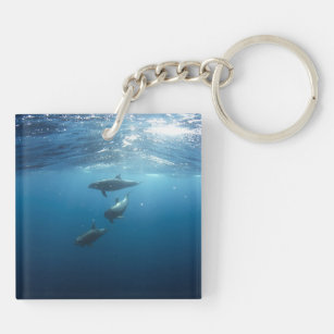 Dolphin Family Underwater Sleutelhanger