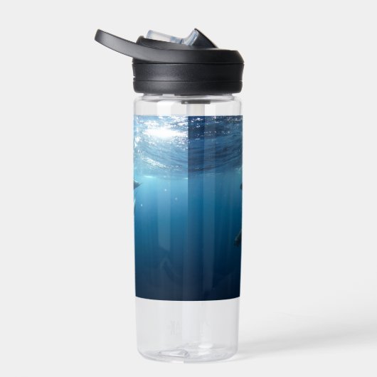 Dolphin Family Underwater Waterfles (Rechts)