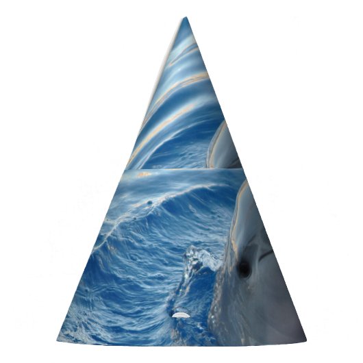 Dolphin Feesthoedjes (Links)