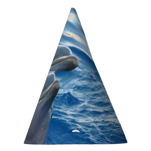 Dolphin Feesthoedjes (Rechts)