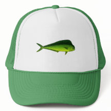 Dolphin Fish - Dorado - Mahi Mahi