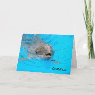 Dolphin Get Well Card Kaart