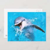Dolphin glimlachen 2 briefkaart (Voorkant / Achterkant)