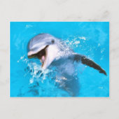 Dolphin glimlachen 2 briefkaart (Voorkant)