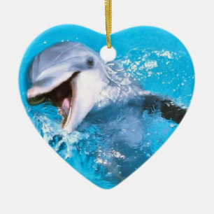 Dolphin glimlachen 2 keramisch ornament