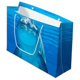 Dolphin Groot Cadeauzakje