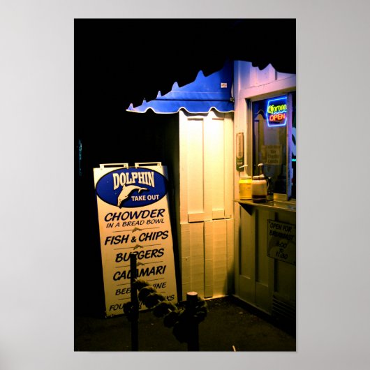 Dolphin haalt 's nachts uit in Santa Cruz Poster (Voorkant)