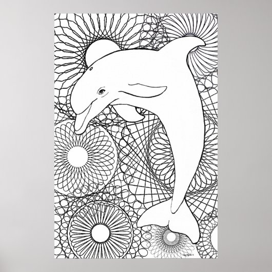 Dolphin Harmony Poster (Voorkant)