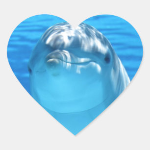 Dolphin Hart Sticker