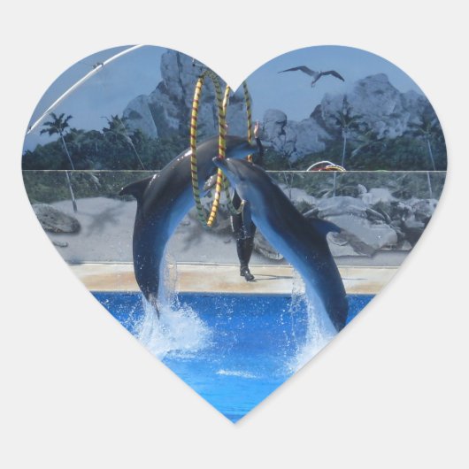 Dolphin Hart Sticker (Voorkant)