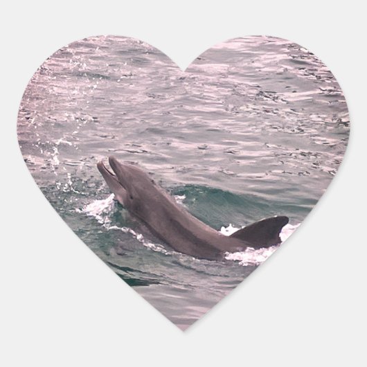 DOLPHIN HART STICKER (Voorkant)