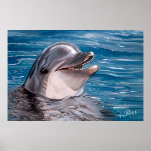 DOLPHIN HEAD POSTER (Voorkant)