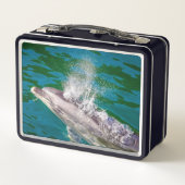 Dolphin in Milford Sound, Nieuw-Zeeland (Achterkant)