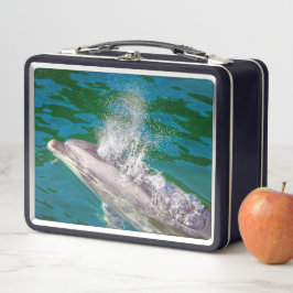 Dolphin in Milford Sound, Nieuw-Zeeland