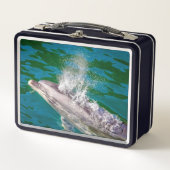 Dolphin in Milford Sound, Nieuw-Zeeland (Voorkant)