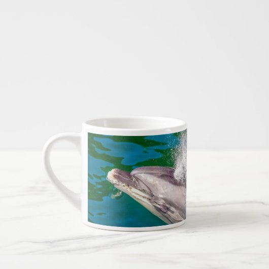 Dolphin in Milford Sound, Nieuw-Zeeland Espresso Kop (Links)