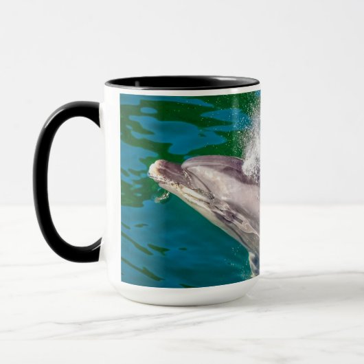 Dolphin in Milford Sound, Nieuw-Zeeland Mok (Links)