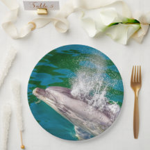 Dolphin in Milford Sound, Nieuw-Zeeland