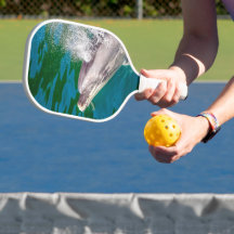 Dolphin in Milford Sound, Nieuw-Zeeland