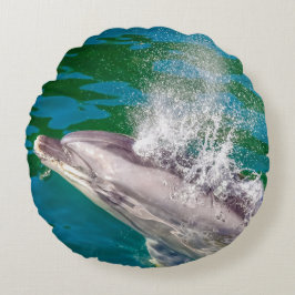 Dolphin in Milford Sound, Nieuw-Zeeland Rond Kussen